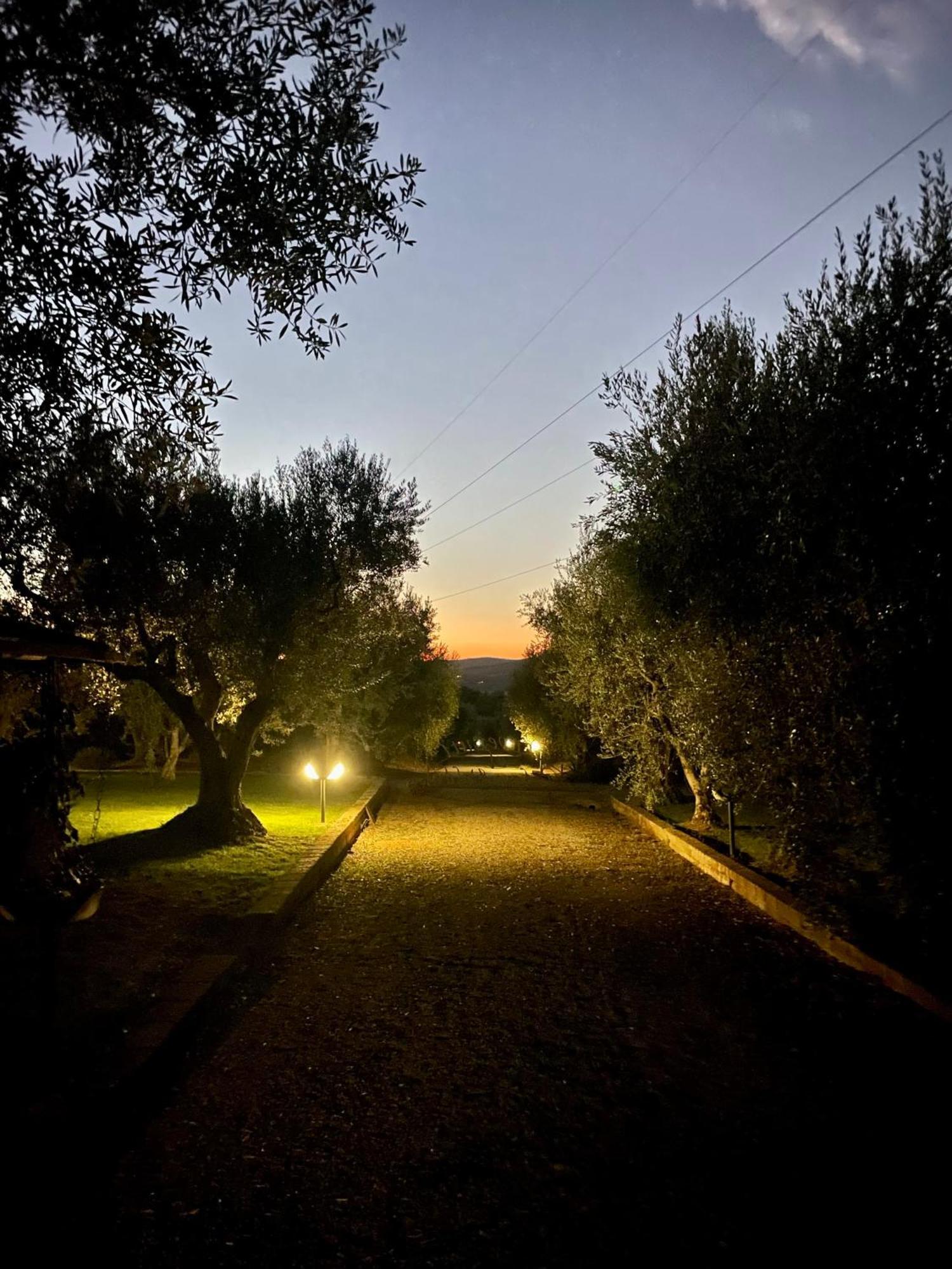 Agriturismo Podere Valdo Gavorrano Ngoại thất bức ảnh
