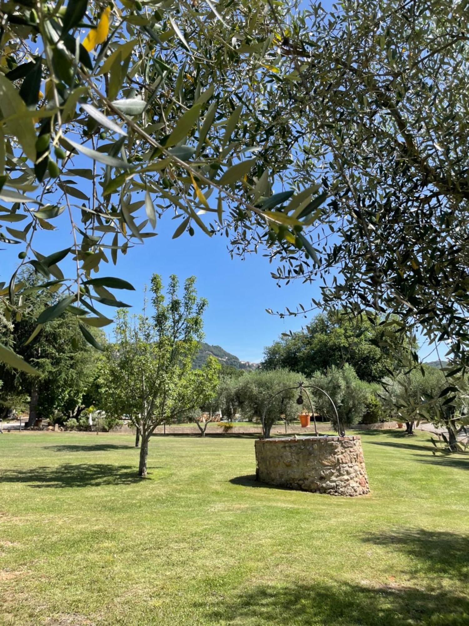 Agriturismo Podere Valdo Gavorrano Ngoại thất bức ảnh