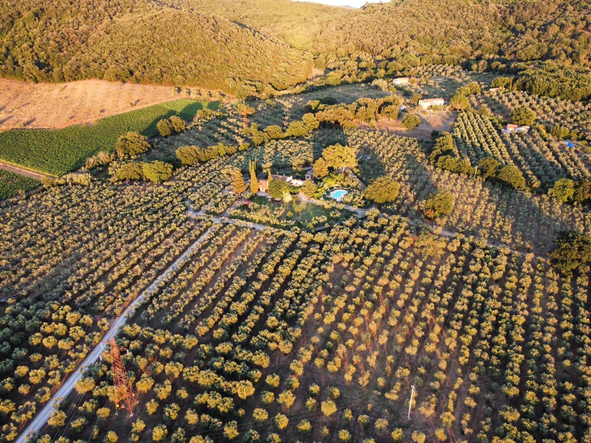 Agriturismo Podere Valdo Gavorrano Ngoại thất bức ảnh