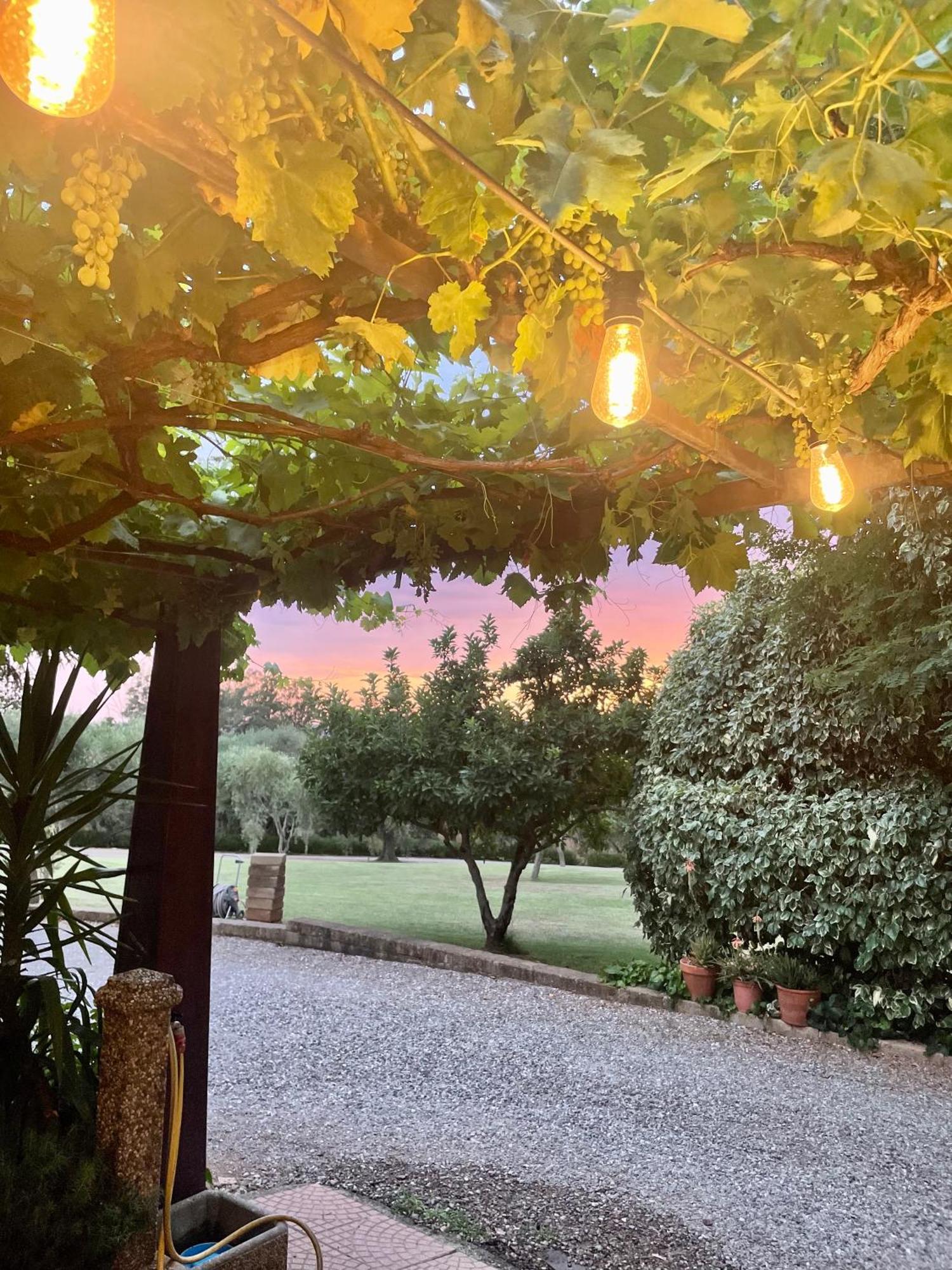 Agriturismo Podere Valdo Gavorrano Ngoại thất bức ảnh